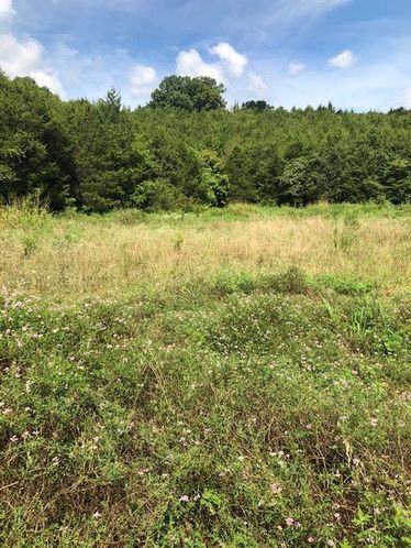14355 US Highway 127 N, Frankfort, KY 40601